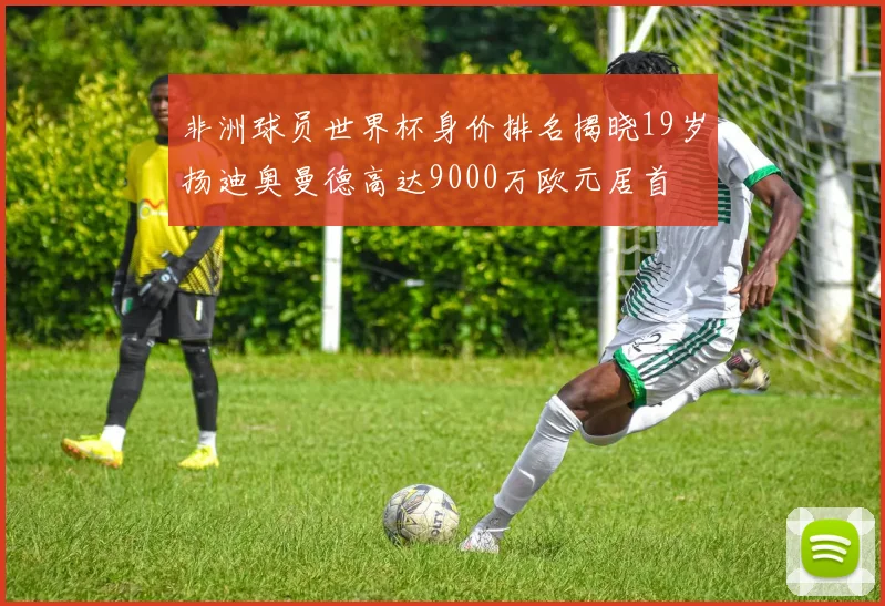 非洲球员世界杯身价排名揭晓19岁扬迪奥曼德高达9000万欧元居首