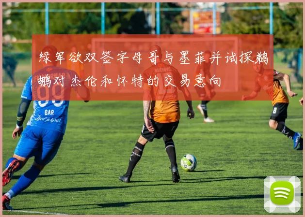 绿军欲双签字母哥与墨菲并试探鹈鹕对杰伦和怀特的交易意向